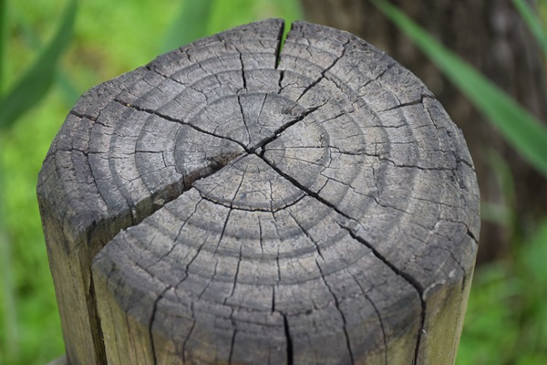 《保定市生活垃圾分类管理办法》政策解读